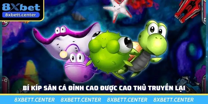 Bí kíp săn cá đỉnh cao được cao thủ truyền lại